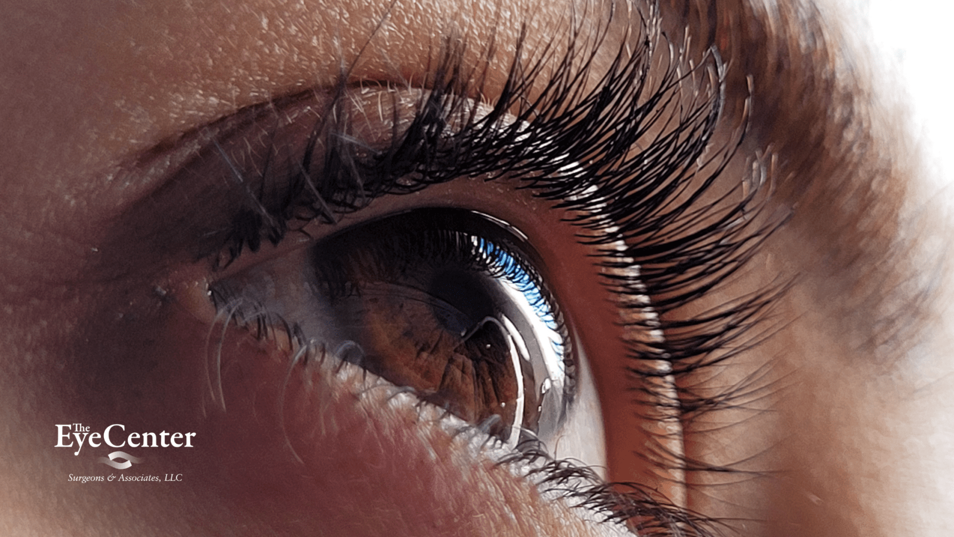 close up of brown eye color